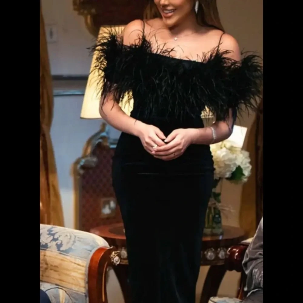 Vintage Velvet Gothic Gown with Feather Neckline - Picture 1 of 13